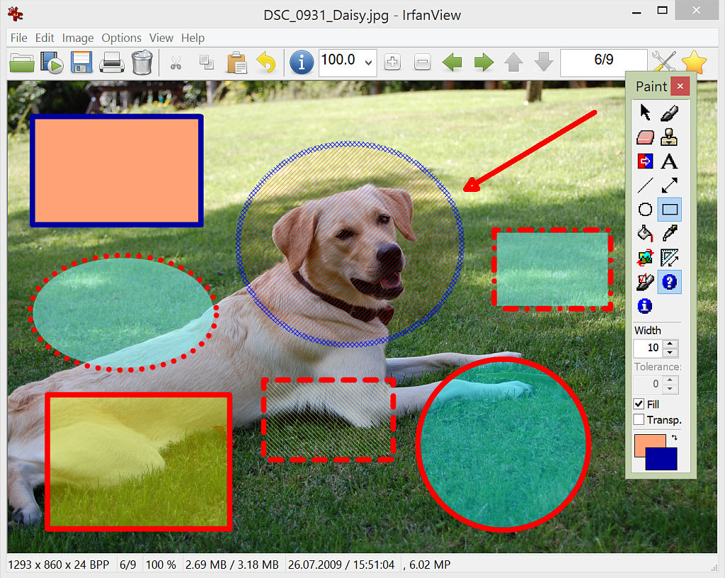 Irfanview 4.53: The most efficient image viewer? Irfanview 4.53 Image viewer review