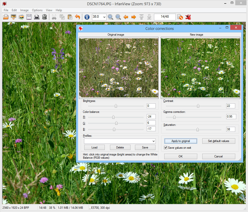 Windows 8 Irfan View 4.57 full Windows 8 Irfan View full