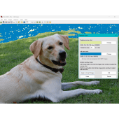 Replace Color dialog