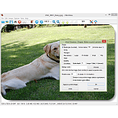 Add Shadow/Shape effect 1